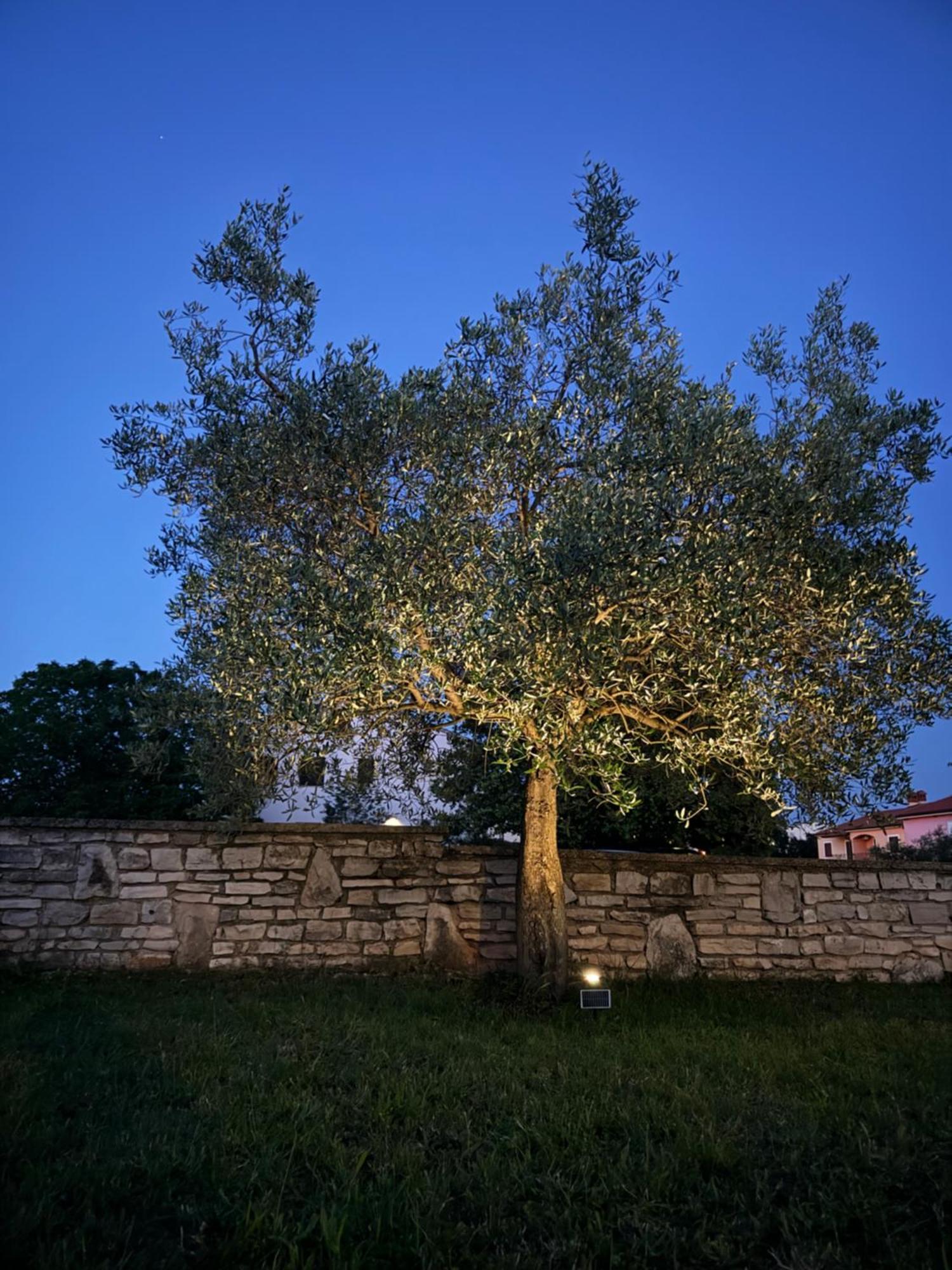 Apartman Ostrea *** Bale Exterior photo